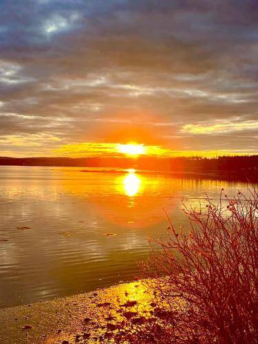 Bed and breakfast Chemainus