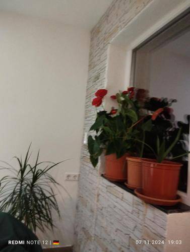 Ferienwohnung Schliengen