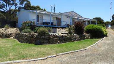 House Pet-friendly American River