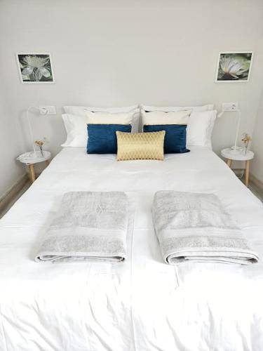 Apartamento  Zamora