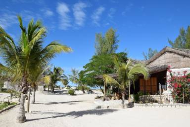House Pet-friendly Andavadoaka