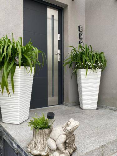 Apartament Rewa