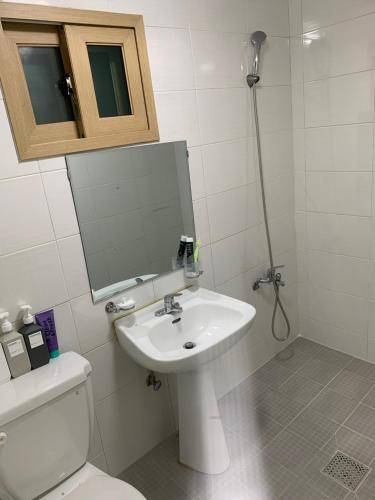 foto11