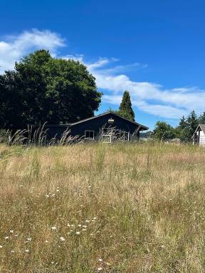 House Yelm