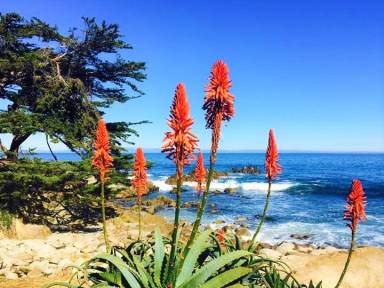 House Carmel-by-the-Sea