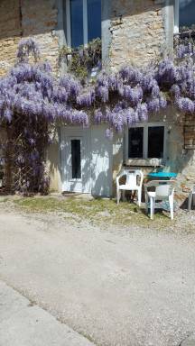 Appartement avec jardin