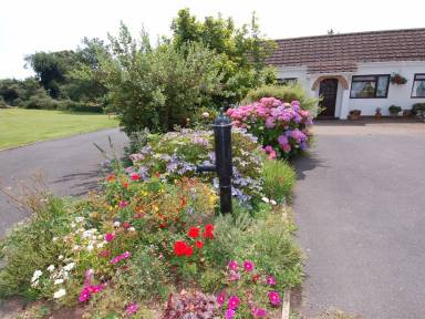 Lite hus  Dawlish