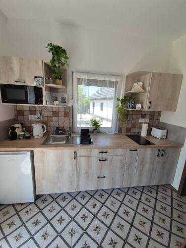 Apartman Vasad