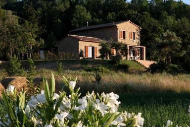 House Montescudaio