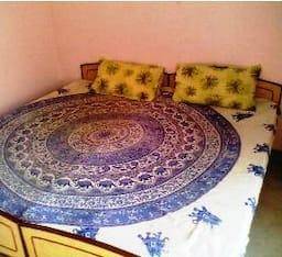foto43