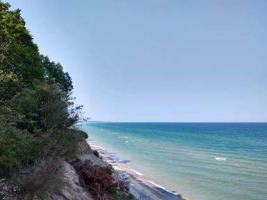 Cabin Filer Charter Township