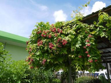Accommodation Balcony/Patio Garapan