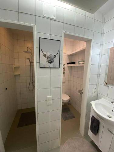 foto1