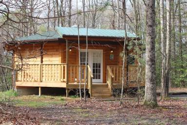 Cabin Hico