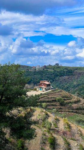 Ayda Bagları Winery & Vineyards in Seferihisar