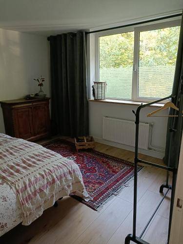 foto11