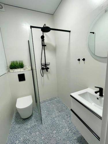 Apartament Szaflary