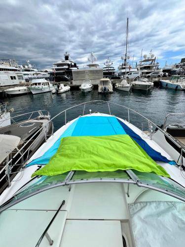 Huisboot Monaco