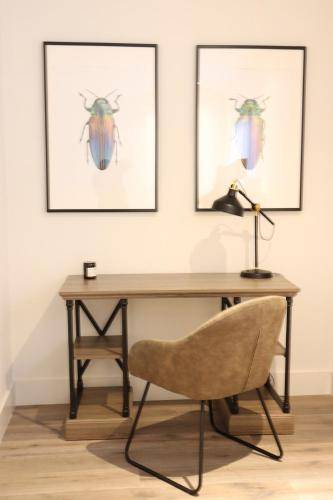 foto7