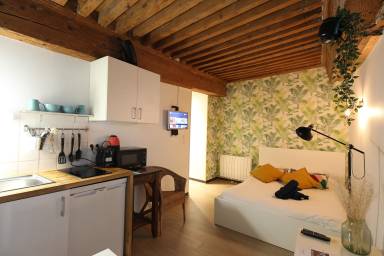 21 m² Studio flat