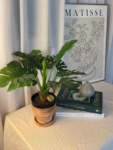 foto16