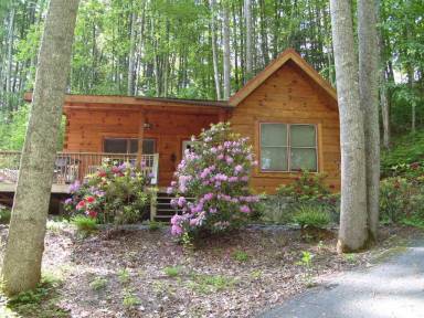 Cabin Balcony/Patio Balsam