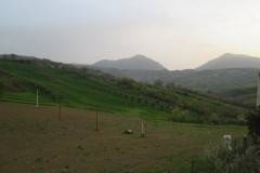 foto15