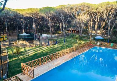 Ferienhaus mit Terrasse und Pool