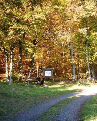 foto10