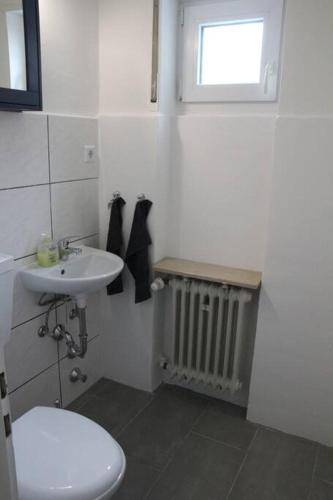 foto11