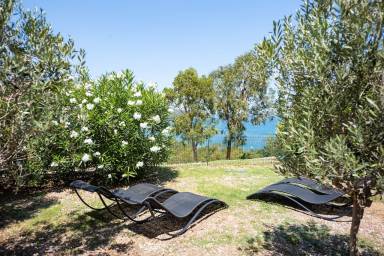 Apartment Saint-Florent