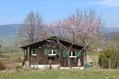 42 m² House