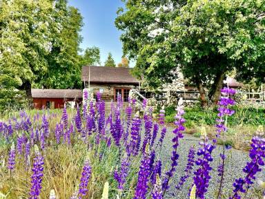 House Palomar Mountain