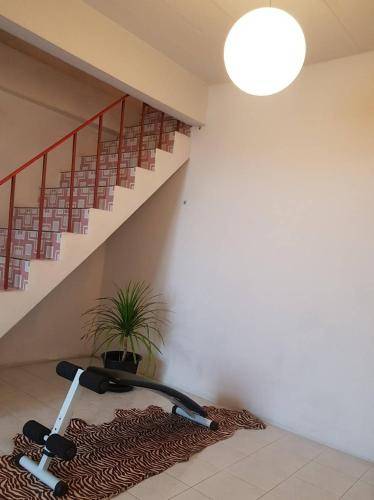 foto14