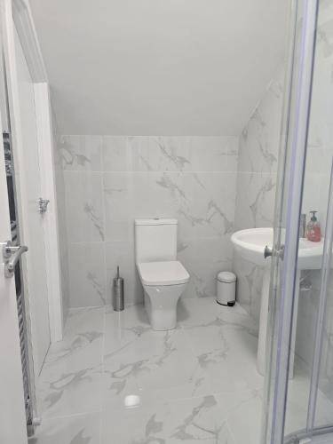 foto12