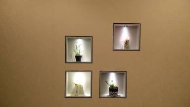 Apartment  Dhanmondi
