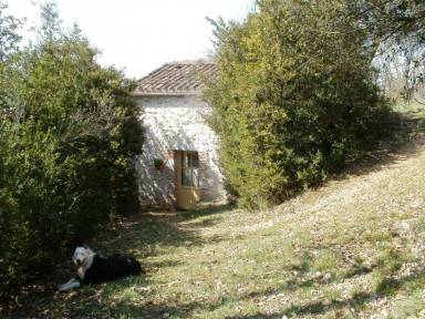 Nice gite with barbeque, garden & terrace | Pet-friendly