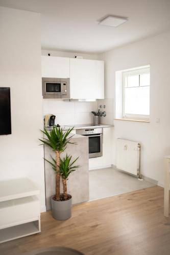 30 m² Ferienwohnung