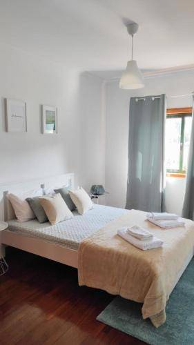 Apartamento Sá