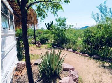 Cabaña  La Paz