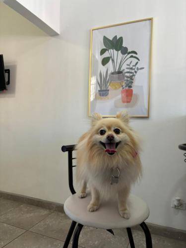 foto17