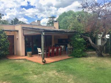 45 m² House