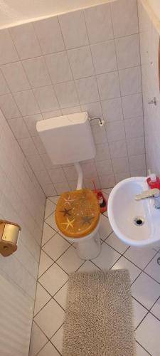 foto12