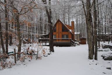 Cabin  Arrowhead Lake
