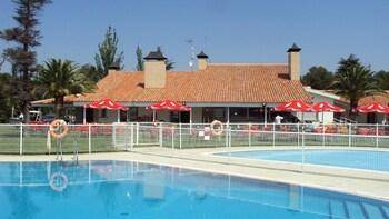 Camping de Zaragoza — photo 3