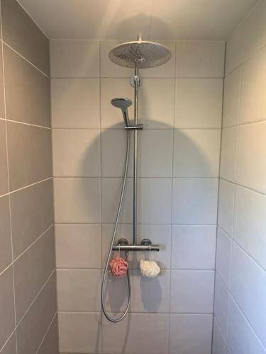 foto17