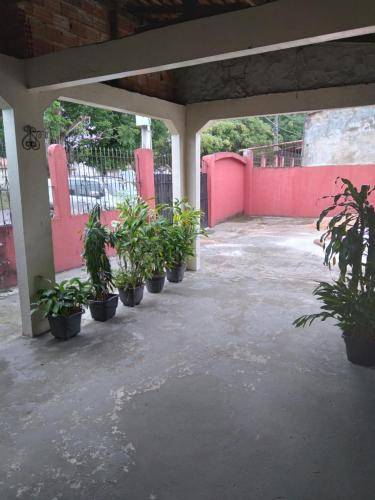 foto8
