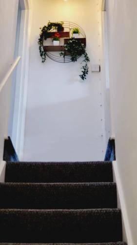 Bed & Breakfast Notting Hill