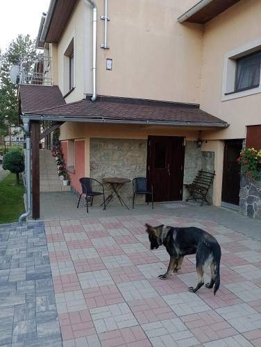 Apartmán  Lučivná