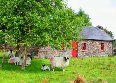 Farmhouse Knockaunroe